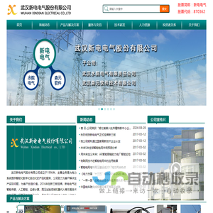 武汉新电电气股份有限公司